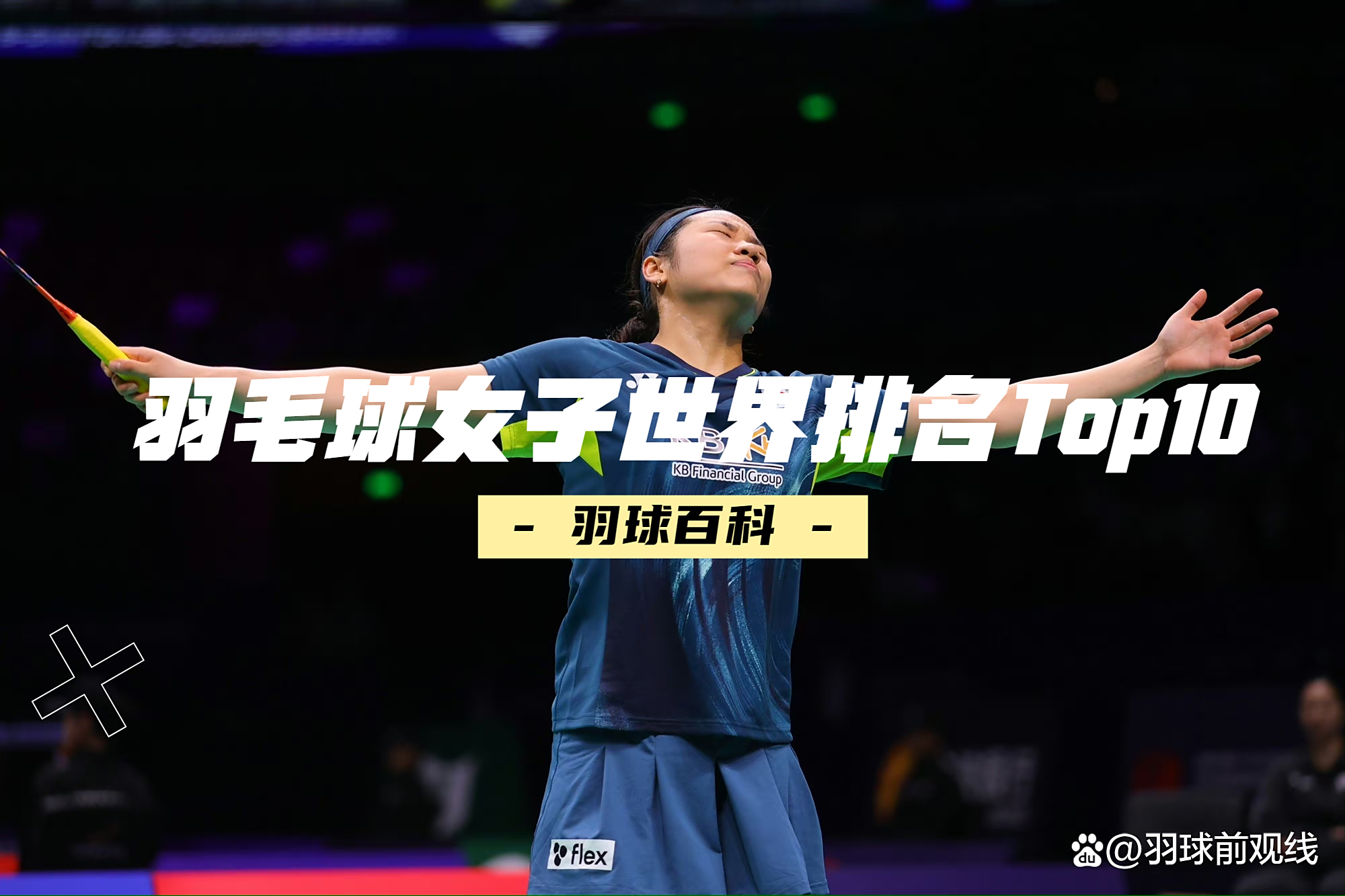 法国羽毛球队完胜印尼羽毛球队，马琳绝境逆转的简单介绍