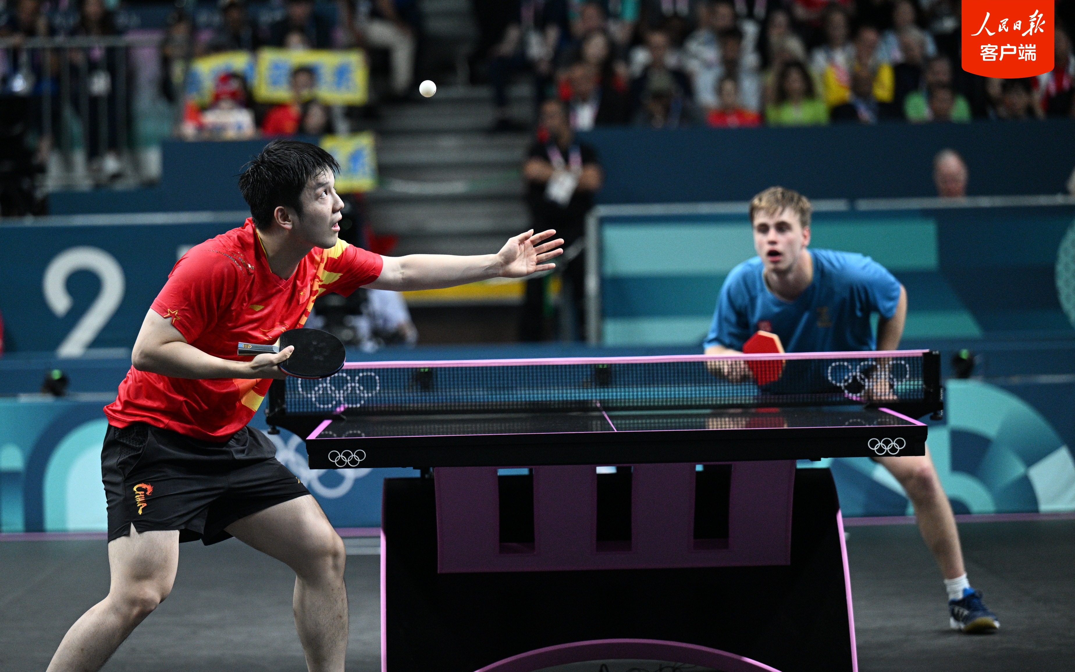 波兰队险胜日本队,樊振东高光表现的简单介绍 波兰队险胜日本队,樊振东高光表现的简单介绍